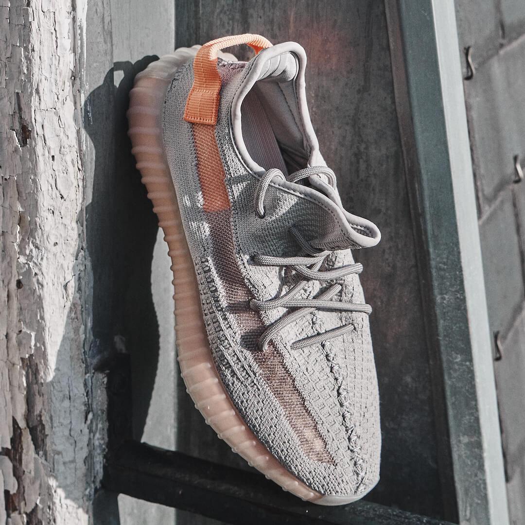 Yeezy Boost 350 V2 True Form All You Need, photo 5