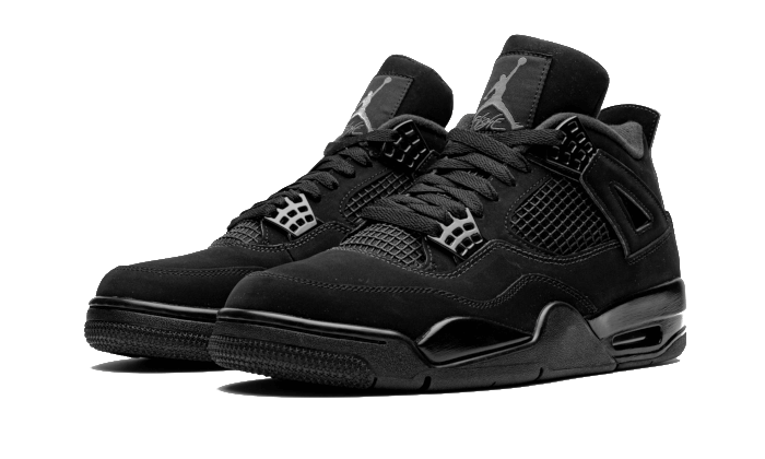 Air Jordan 4 Black Cat All You Need, photo 2