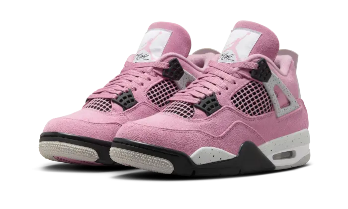 Air Jordan 4 Retro Orchid All You Need, photo 2