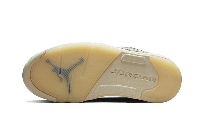 Air Jordan 5 Low Expression All You Need, photo 3