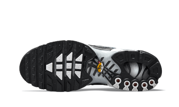 Air Max Plus Dark Smoke Grey All You Need, photo 3