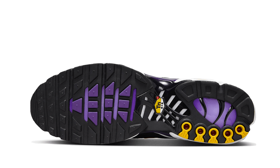 Air Max Plus Voltage Purple All You Need, photo 3