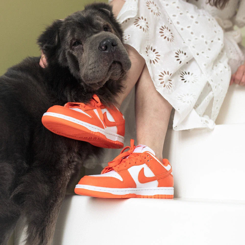 Dunk Low SP Orange Blaze (Syracuse) All You Need, photo 5