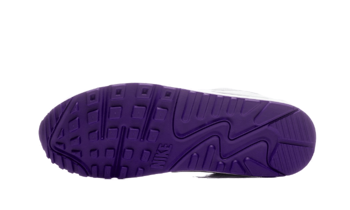 Air Max 90 Voltage Purple All You Need, photo 4