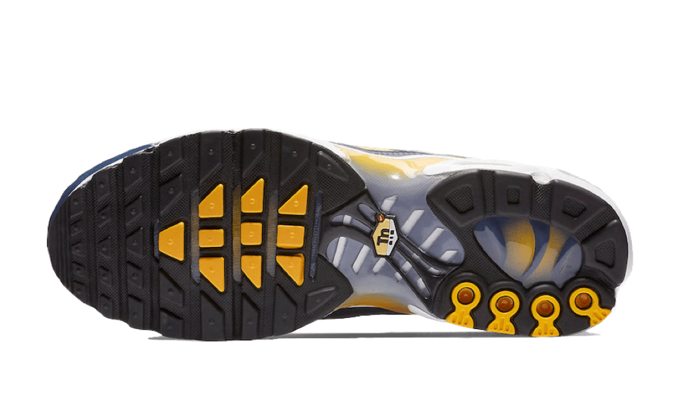 Air Max Plus Wave Grid Yellow All You Need, photo 4