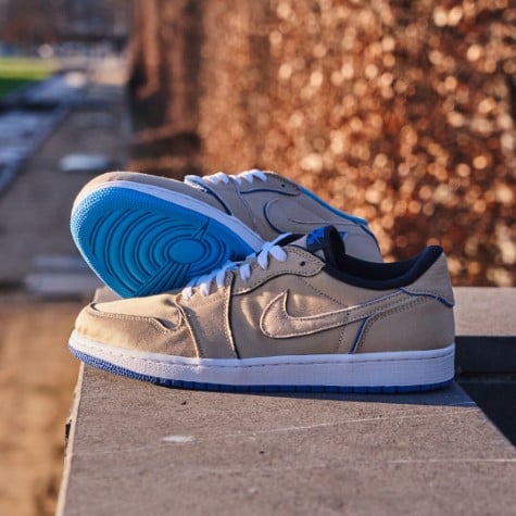 Air Jordan 1 Low SB Desert Ore All You Need, photo 5