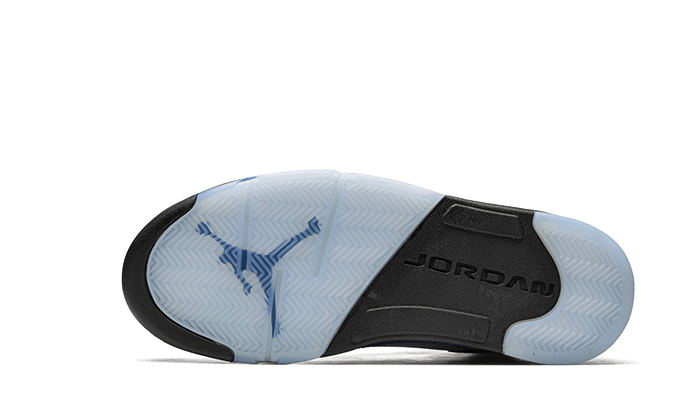 Air Jordan 5 UNC All You Need, photo 4