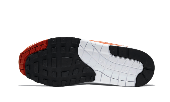Air Max 1 Martian Sunrise All You Need, photo 3
