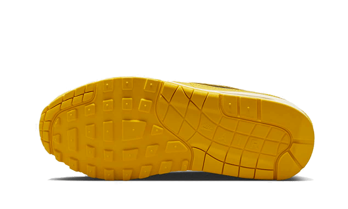 Air Max 1 CO.JP Michigan All You Need, photo 3