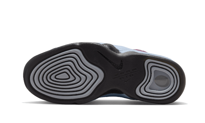 Air Max Penny 2 Rosewood All You Need, photo 3
