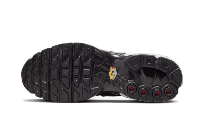 Air Max Plus Dusk All You Need, photo 3