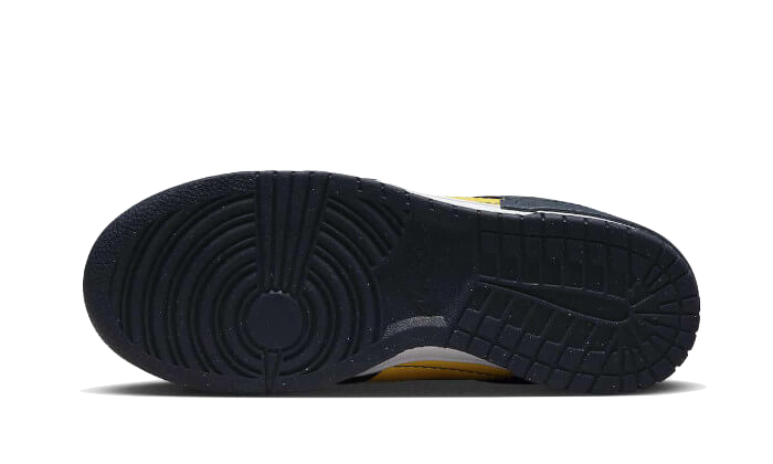 Dunk Low Disrupt 2 Michigan All You Need, photo 3