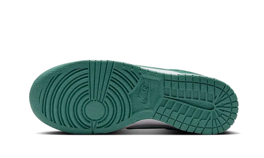Dunk Low Next Nature Bicoastal All You Need, photo 3
