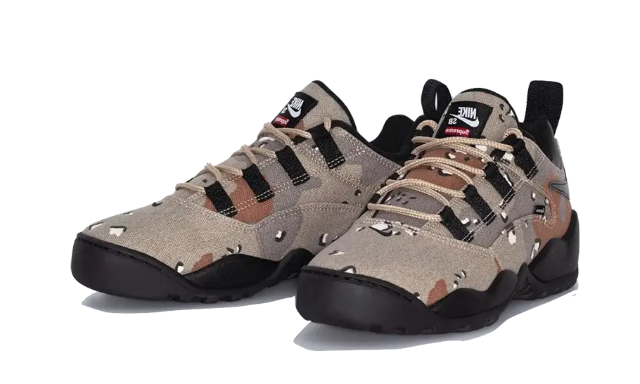 SB Darwin Low Supreme Desert Camo All You Need, photo 2