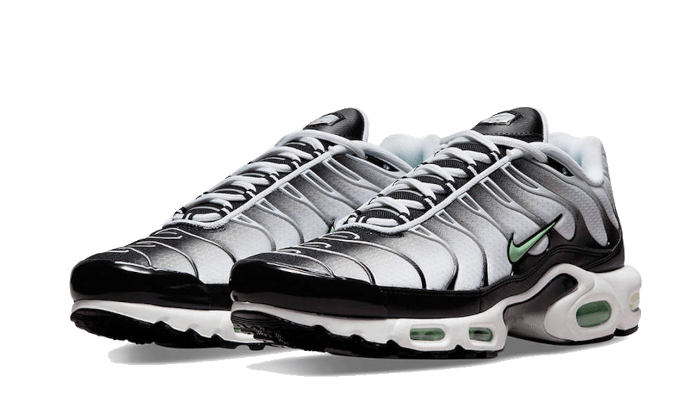 Air Max Plus Seafoam Grey Black All You Need, photo 2