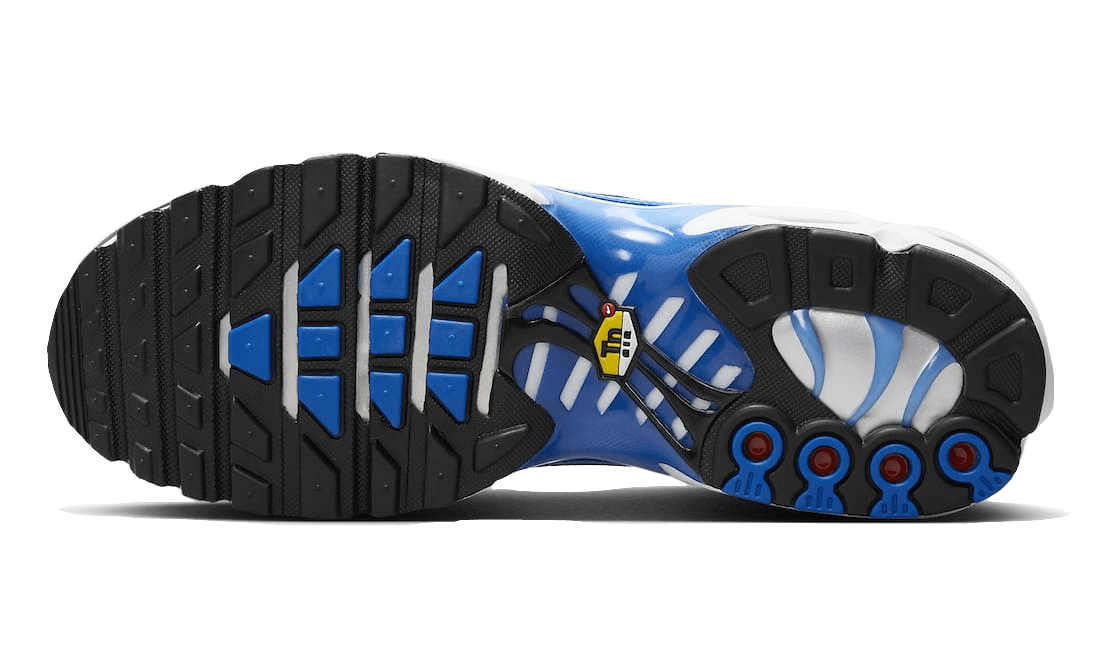 Air Max Plus Light Photography Old Royal All You Need, photo 3