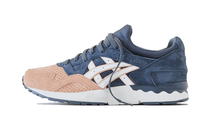 Gel-Lyte V Kith Salmon Toe All You Need, photo 1