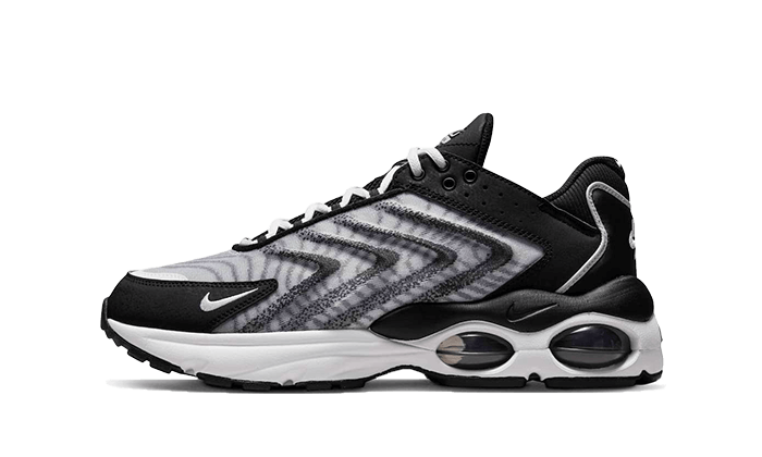 Air Max TW Black White All You Need, photo 1