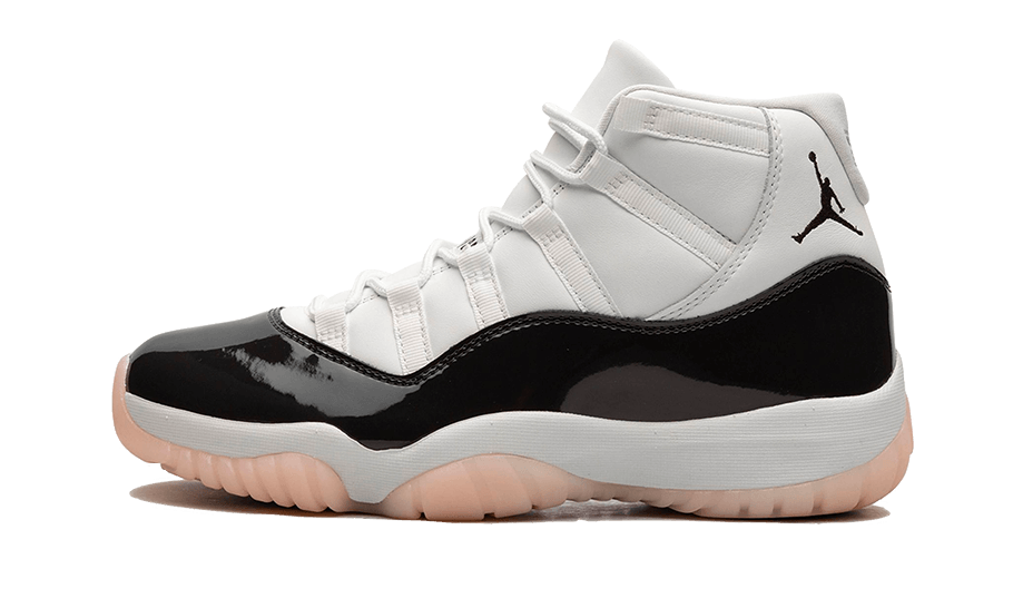 Air Jordan 11 Retro Neapolitan All You Need, photo 1