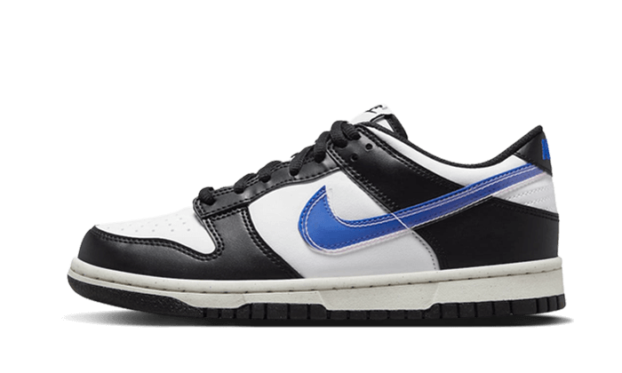 Dunk Low Next Nature TPU Swoosh All You Need, photo 1