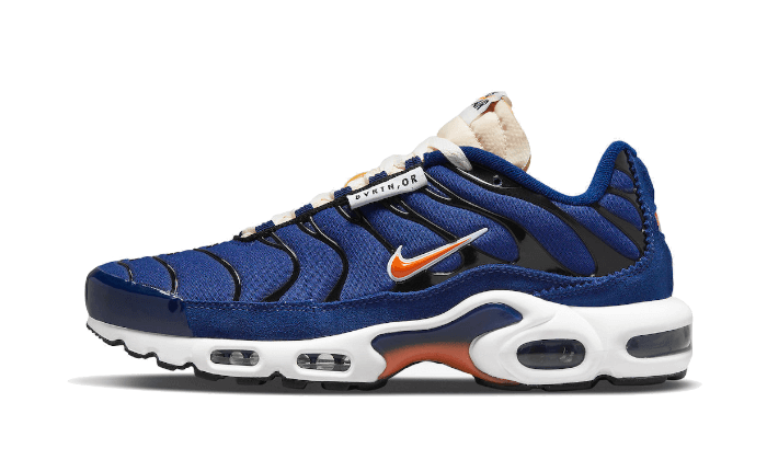 Air Max Plus SE Running Club Black Orange Deep Royal All You Need, photo 1