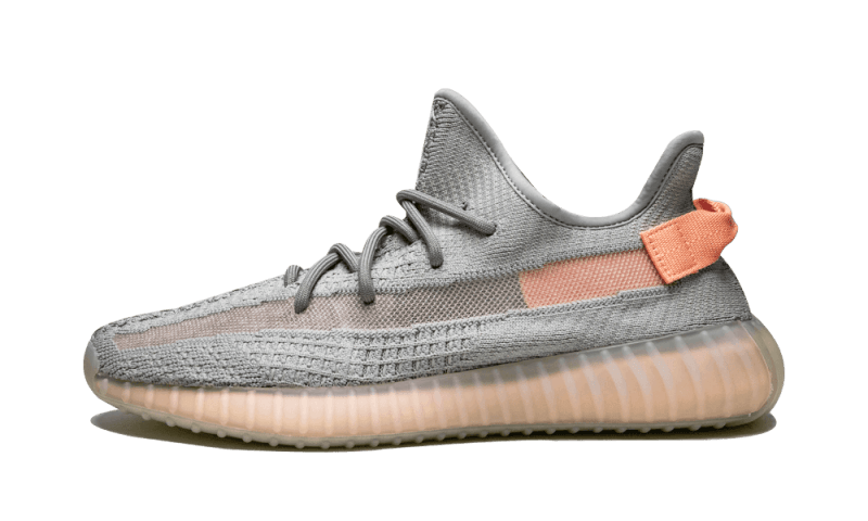 Yeezy Boost 350 V2 True Form All You Need, photo 1