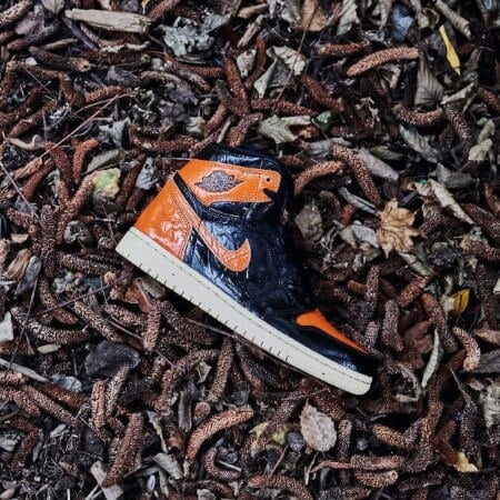 Air Jordan 1 Retro High Shattered Backboard 3.0 All You Need, photo 5
