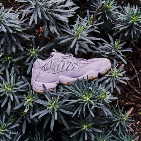 Yeezy 500 Soft Vision All You Need, photo 5