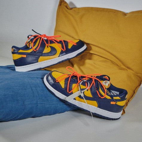 Dunk Low Off-White Michigan All You Need, photo 5