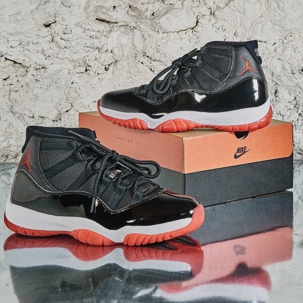 Air Jordan 11 Retro Bred All You Need, photo 5