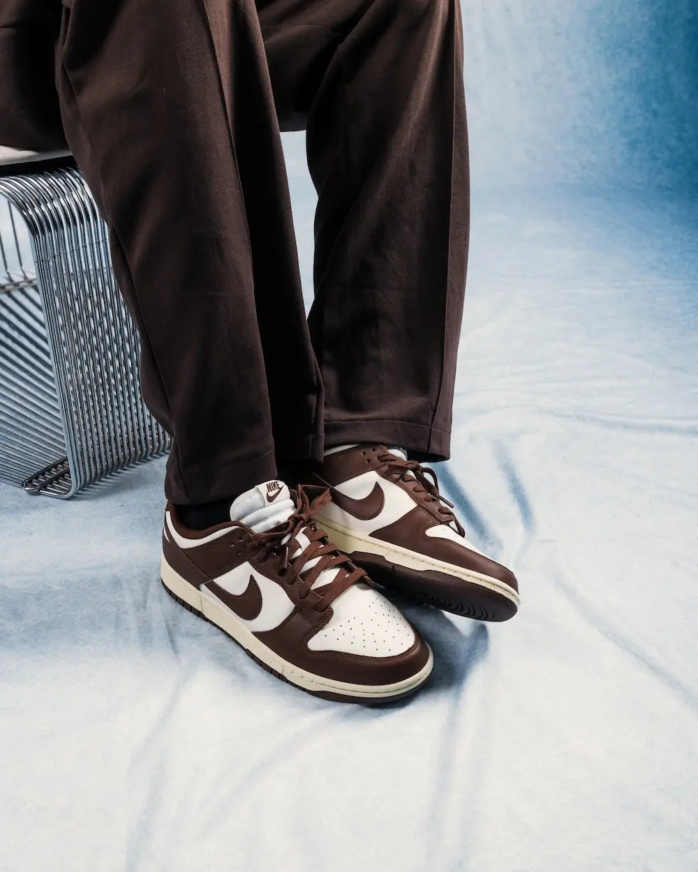 Dunk Low Cacao Wow All You Need, photo 5
