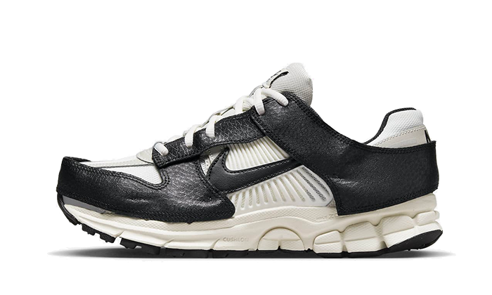 Zoom Vomero 5 Timeless Panda Dunk All You Need, photo 1