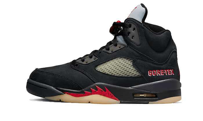 Air Jordan 5 Retro Gore-Tex Off-Noir All You Need, photo 1