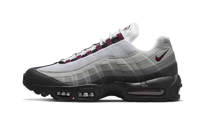 Air Max 95 Dark Beetroot All You Need, photo 1