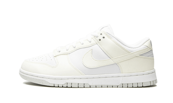Dunk Low Next Nature Sail All You Need, photo 1