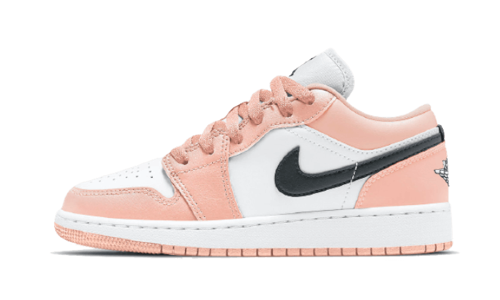 Air Jordan 1 Low Light Arctic Rose All You Need, photo 1