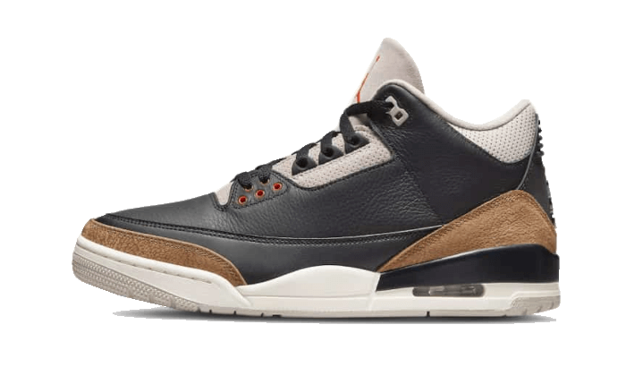 Air Jordan 3 Retro Desert Elephant All You Need, photo 1