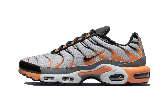 Air Max Plus Grey Orange All You Need, photo 1