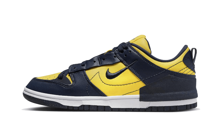 Dunk Low Disrupt 2 Michigan All You Need, photo 1