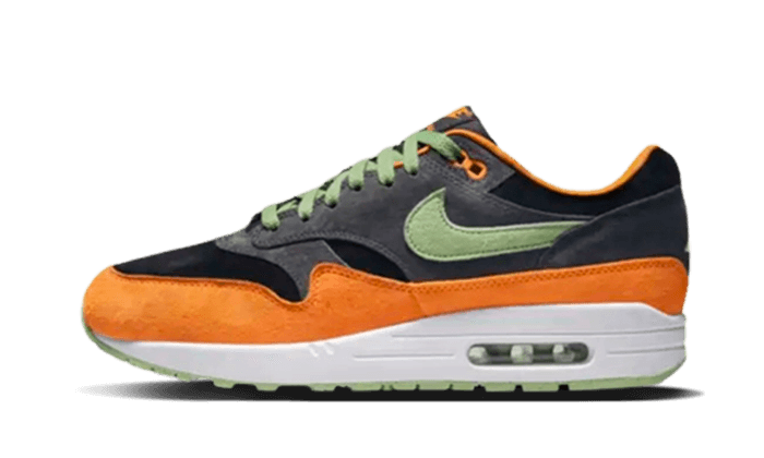 Air Max 1 PRM Duck Anthracite All You Need, photo 1