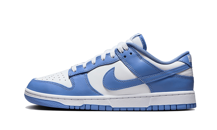 Dunk Low Polar Blue All You Need, photo 1