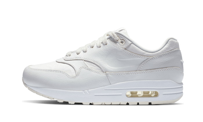 Air Max 1 Tawny All You Need, photo 1