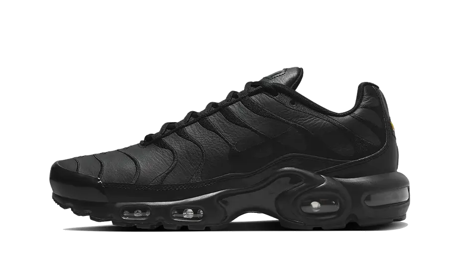 Air Max Plus Triple Black Leather All You Need, photo 1
