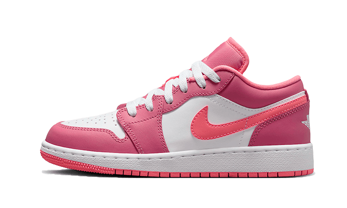 Air Jordan 1 Low Desert Berry All You Need, photo 1