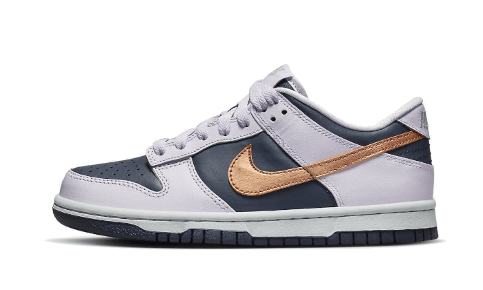 Dunk Low SE Copper Swoosh All You Need, photo 1