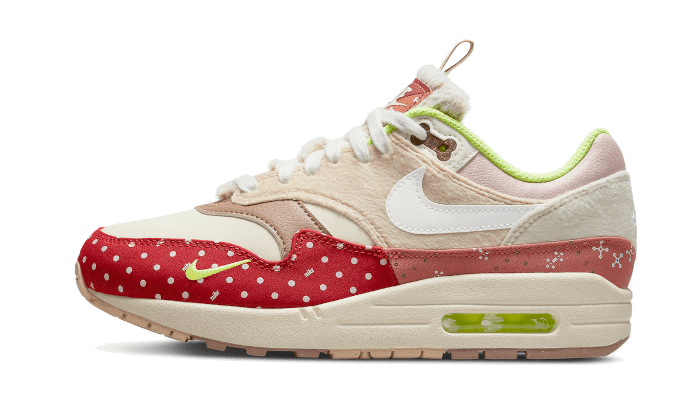 Air Max 1 PRM Best Friend All You Need, photo 1