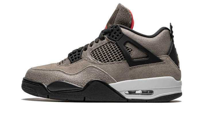 Air Jordan 4 Taupe Haze All You Need, photo 1