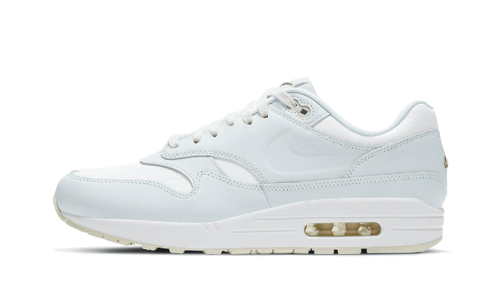 Air Max 1 Asparagus All You Need, photo 1