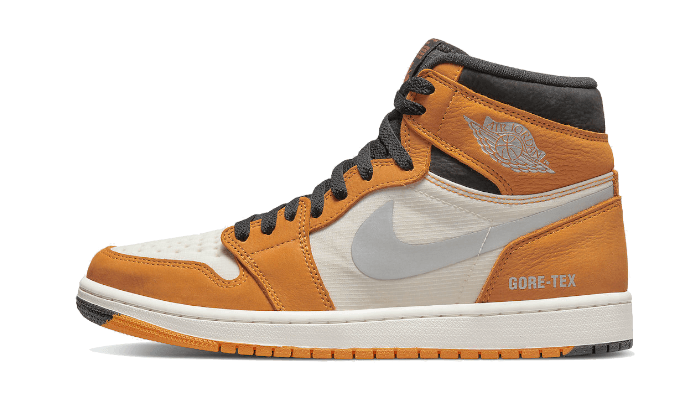 Air Jordan 1 Element Gore-Tex Light Curry All You Need, photo 1