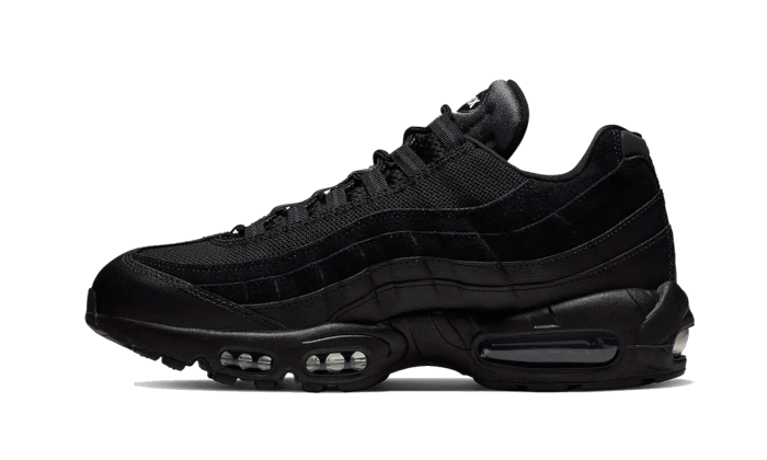 Air Max 95 Essential Black All You Need, photo 1